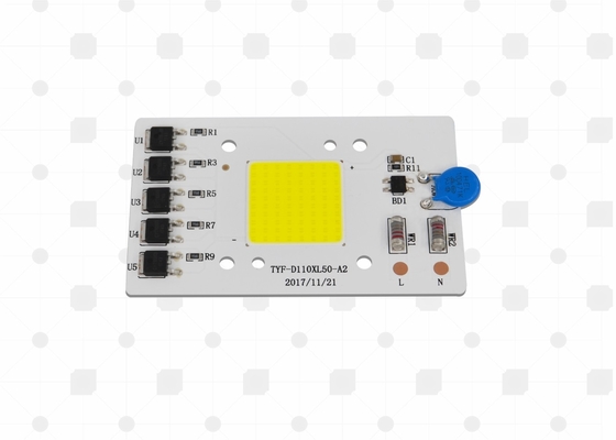 Chip di Brigdgelux del modulo della luce di inondazione di CA 110V/220V dentro, dimensione su misura
